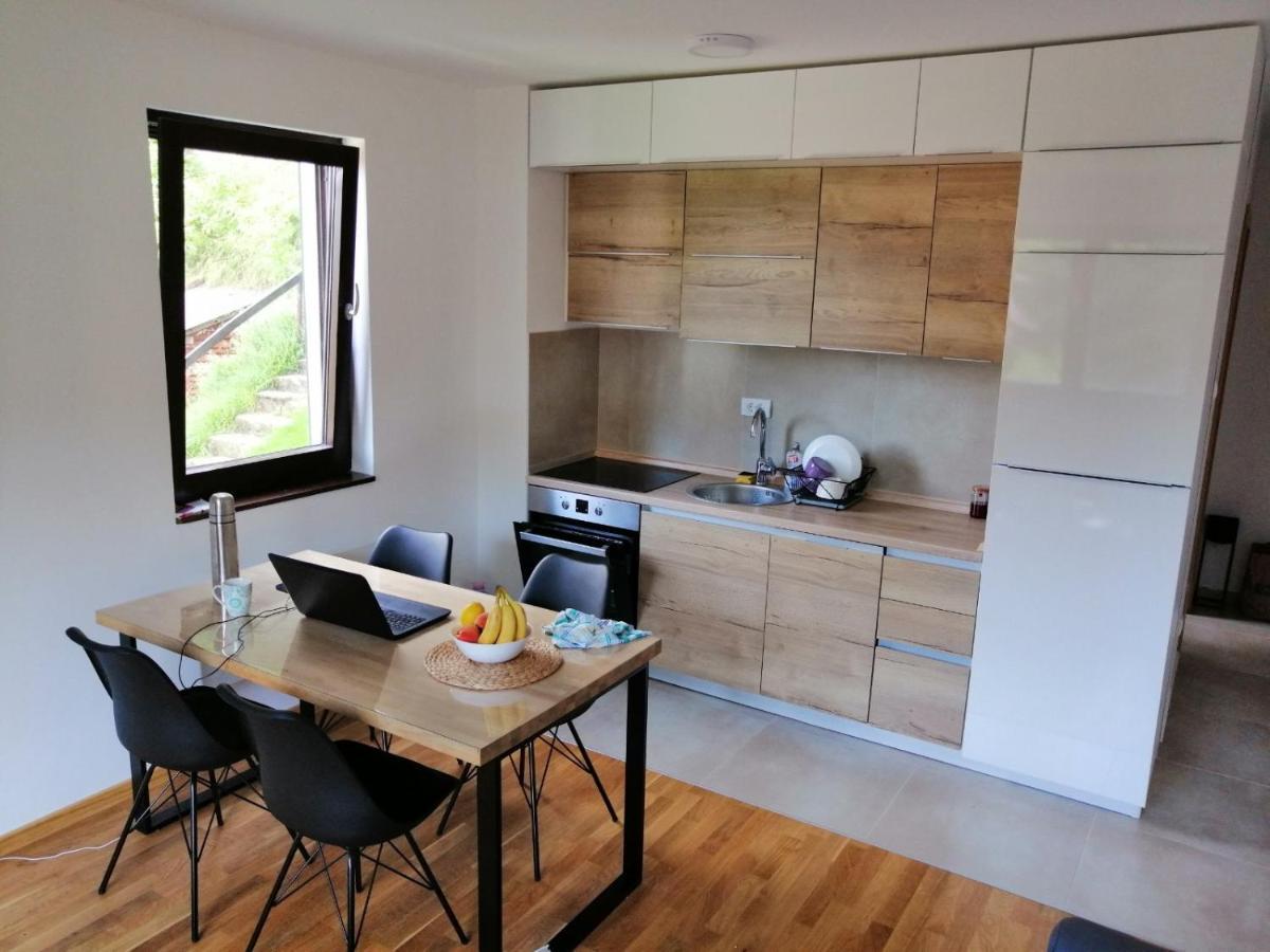 Vila Irina Kopaonik - Apartman Jovana Exterior foto