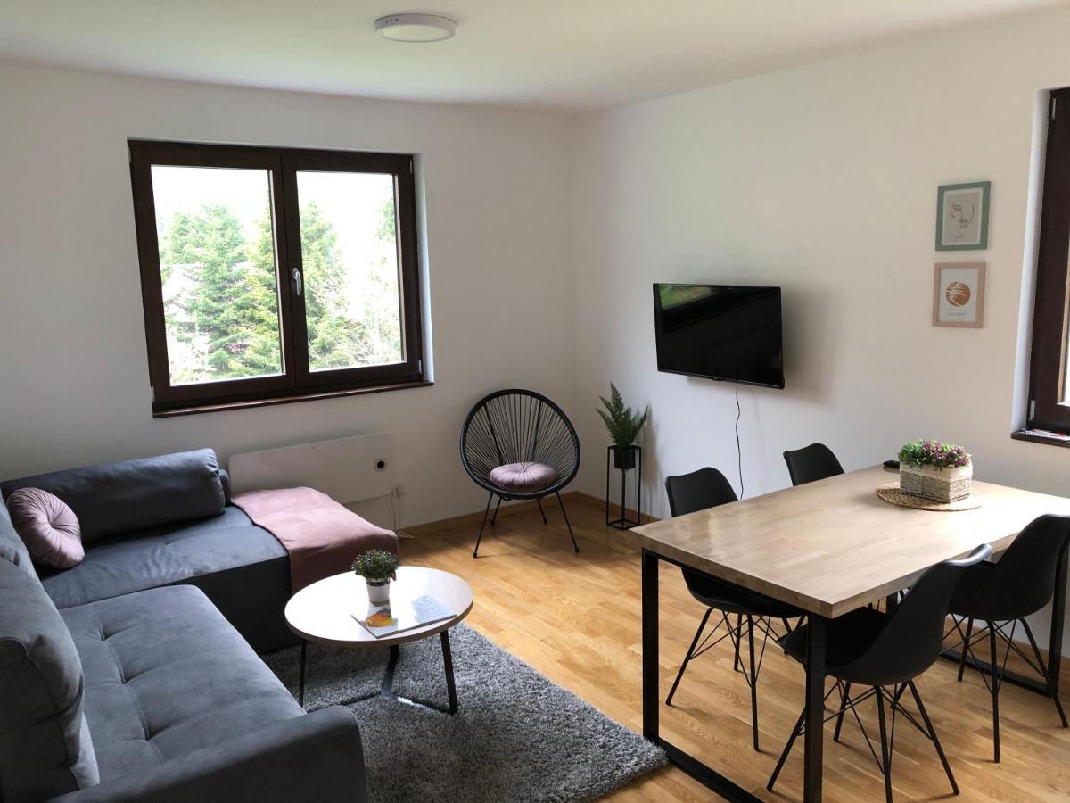 Vila Irina Kopaonik - Apartman Jovana Exterior foto
