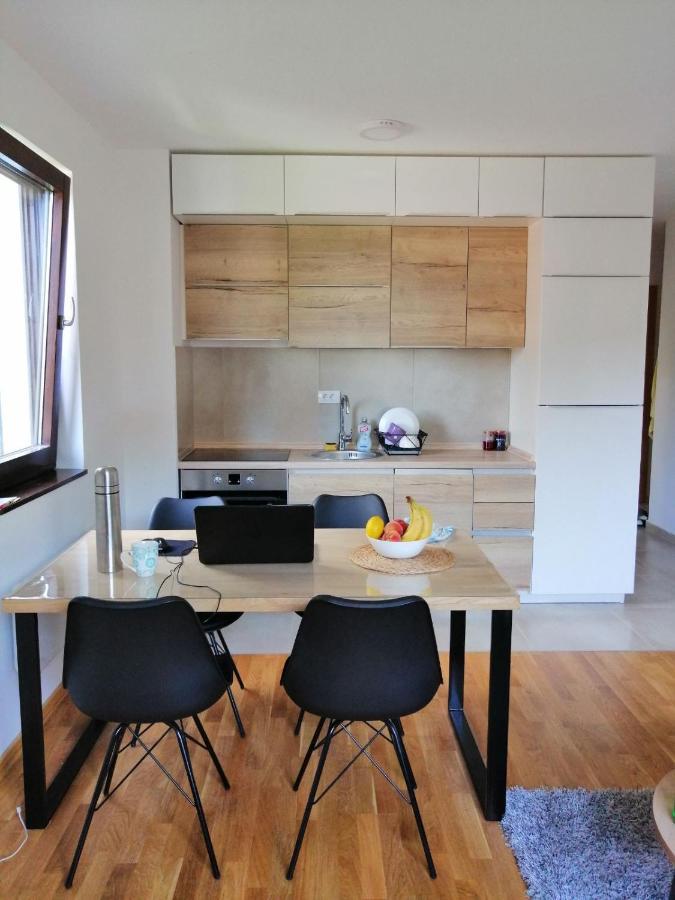 Vila Irina Kopaonik - Apartman Jovana Exterior foto