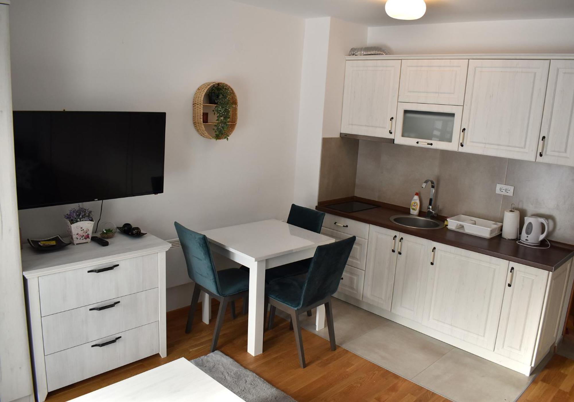 Vila Irina Kopaonik - Apartman Jovana Exterior foto